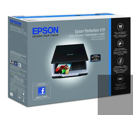 Epson Perfection V19 Color Scanner